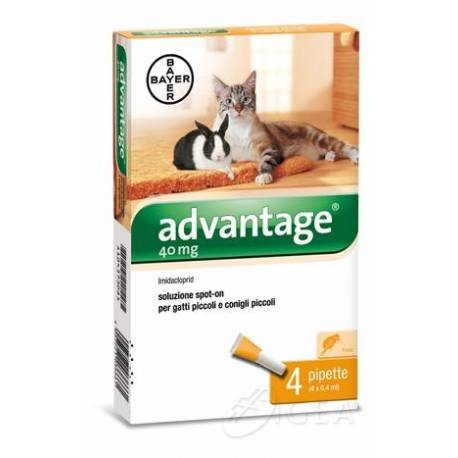 Bayer Advantage 40 mg Spot-On Antiparassitario per gatti e conigli 4 pieptte x 0,4 ml