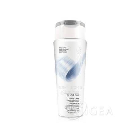 BioNike Shine On Silver Touch Shampoo tonalizzante 200 ml