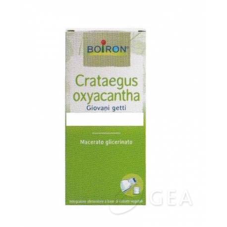 Boiron Crataegus Oxyacantha Biancospino Macerato Glicerico 60 ML