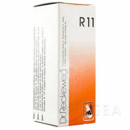 Dr.Reckeweg R11 Rimedio omeopatico in gocce 22 ml