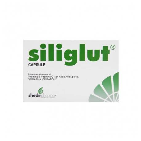 Shedir Pharma Siliglut 20 Capsule