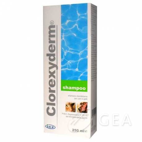 icf prodotti veterinari i.c.f. clorexyderm shampoo per cani e gatti uomo
