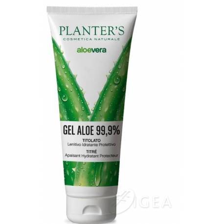 Planter's Aloe Vera Gel Puro 99%