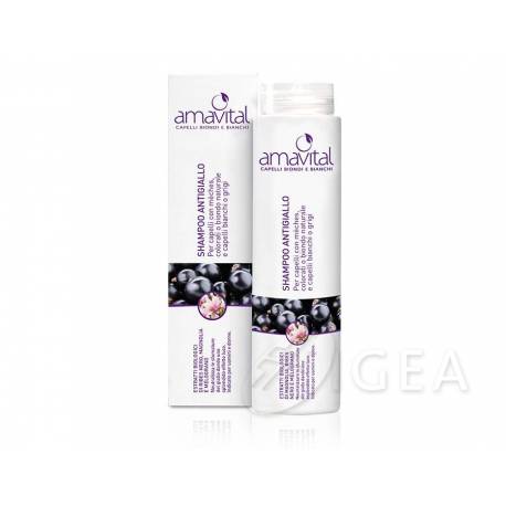 Amavital Shampoo Antigiallo 250 ml