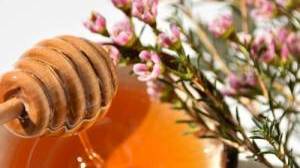 Proprietà e benefici del miele di Manuka