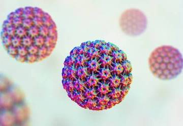 Papilloma Virus: cos’è e come si cura
