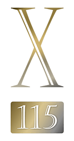 Logo X115
